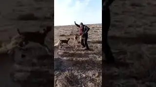 ХРАБРЫЙ ДАГЕСТАНЕЦ!