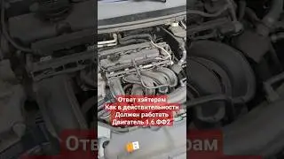 Тот самый случай когда мотор Фокуса не стучит. 