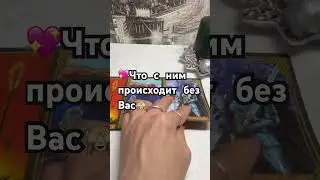 22 августа 2024 г.