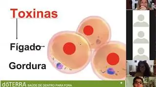Programa de DESINTOXICAÇÃO parte 2