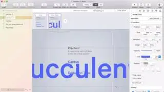 How to use Text in Flinto