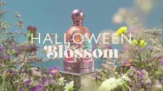 HALLOWEEN Blossom Spot