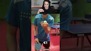$1 Vs $300 Ping Pong Paddle