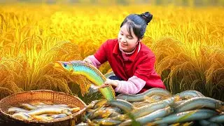 Harvesting Lots of Giant EEL in the Ripe Rice Fields Goes To Market Sell | Ella - Free Bushcraft