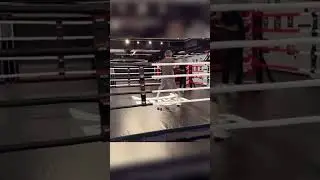 Забит Магомедшарипов ВОЗВРАЩАЕТСЯ в бои? 😱 