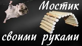 Stairway (bridge) for the hamster with your hands