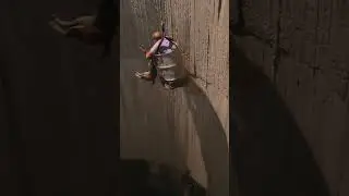 انقاذ  كلب سقط في بئر عمقه ١٥ متر لمدة ٣ أيام
