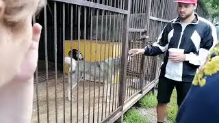 В гостях в Доме волков. Андрей Мусиенко о своих питомцах.