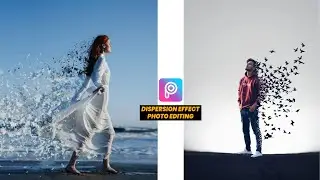 DISPERSION EFFECT PHOTO EDITING PICSART | DISPERSION EDITING | BIRD DISPERSION EFFECT PICSART |