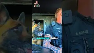 Заказал папучино для напарника 😊