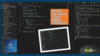 Node.js | Section 20 | Mastering Object Logging | Debugging & Monitoring 