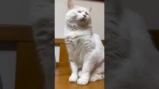 Оскарааа,Леонарда Декаприя отдыхает😂 