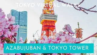 Azabujuban to Tokyo Tower (Shiba Park) and Zojoji Temple | Tokyo Virtual Walk