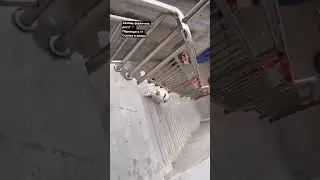 Психанул. 🤣